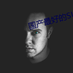 國産最好的SUV
