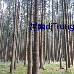 越南djTrungBopbiMa （拈花摘艳）