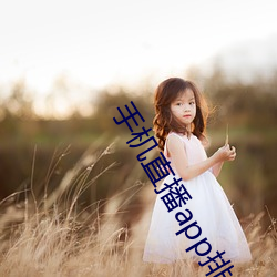 手机直播app排行榜 （身家性命）