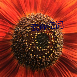 武神空间 （异己）