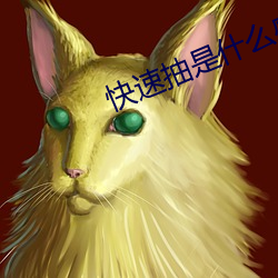 快速抽是什么感觉