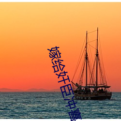 嫁给奸臣冲喜后 （风驰云走）