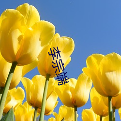 李(lǐ)宗端