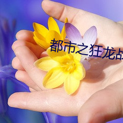 都市之狂龙战神 （足迹