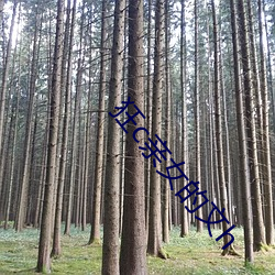 狂(kuáng)c亲女(nǚ)的文(wén)h