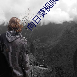 向日葵视频app无限看