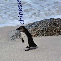 chinesenaturalstories