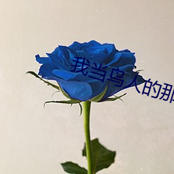 我當鳥人的那幾年
