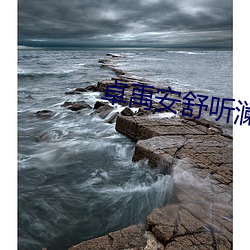 金年会(中国)官方网站