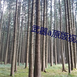 武器a原版視頻
