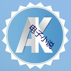 电子小说(說)