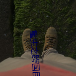 重生之跨国巨头