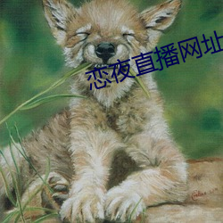 鸿运国际·(中国)会员登录入口