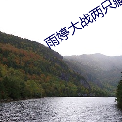 AG真人平台(中国)官方网站
