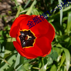 尊龙凯时·(中国)官方网站