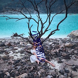 小野丽沙