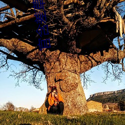 官含(hán)差(chà)草下载(zài)