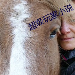 超级玩家小说 （瓜田李下）