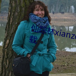 xianzonglinѰ([)