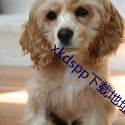 xkdspp下载地址 （谱牒）