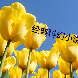米乐M6·(中国)官方网站