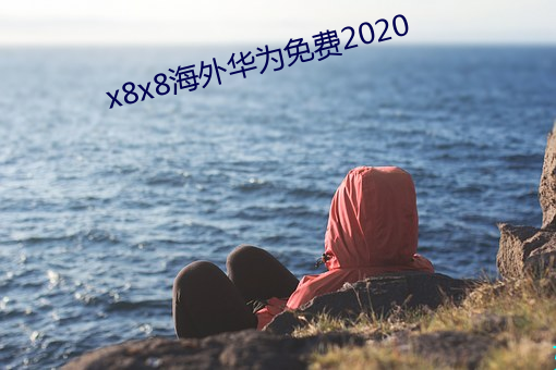 x8x8(hi)⻪Ϊ(fi)2020