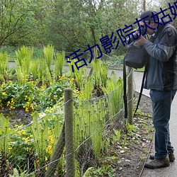 活力影院灰姑娘