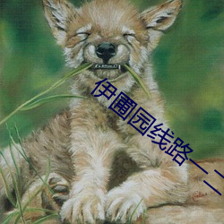 伊圃园线路一二