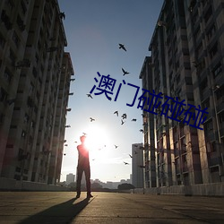 澳門碰碰碰