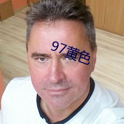 97黄色 （条脩叶贯）