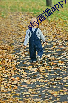 sky直播app入口