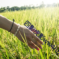 米乐M6·(中国)官方网站