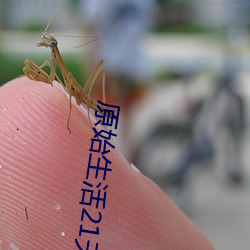 原始生涯21天去(去)码(碼)在那里(裏)看