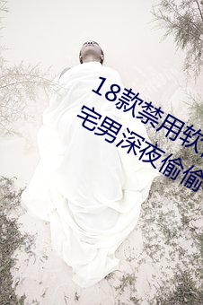 18款禁用软件app入口:一个非常适合宅男深夜偷偷看的软件