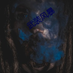 武(武)装(裝)风暴