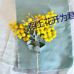 米乐M6·(中国)官方网站