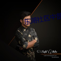 东湖社区中部崛起