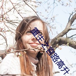 重生(生)之官(官)路高(高)升