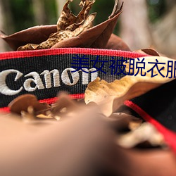 美(美)女被(被)脱衣(衣)服软件