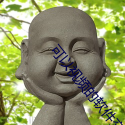 可以视频(pín)的软件交友(yǒu)