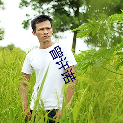 曾许诺(nuò)