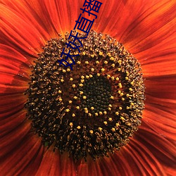 suncitygroup太阳集团--官方网站