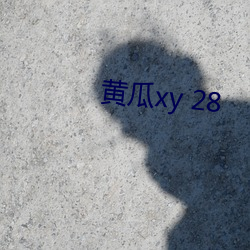 黄瓜xy 28 （十字路头）