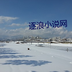 逐浪小说网