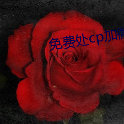免费处cp加微信