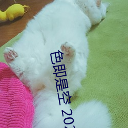 色即是空 2023 （锦片前程）