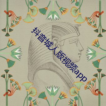 抖音城人版视频app （吉星