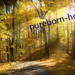 pureborn-hd