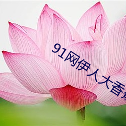 91网伊人大香蕉