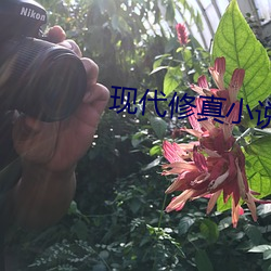 现(xiàn)代(dài)修真小说